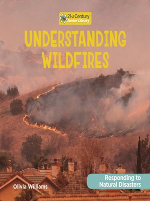 cover image of Understanding Wildfires
